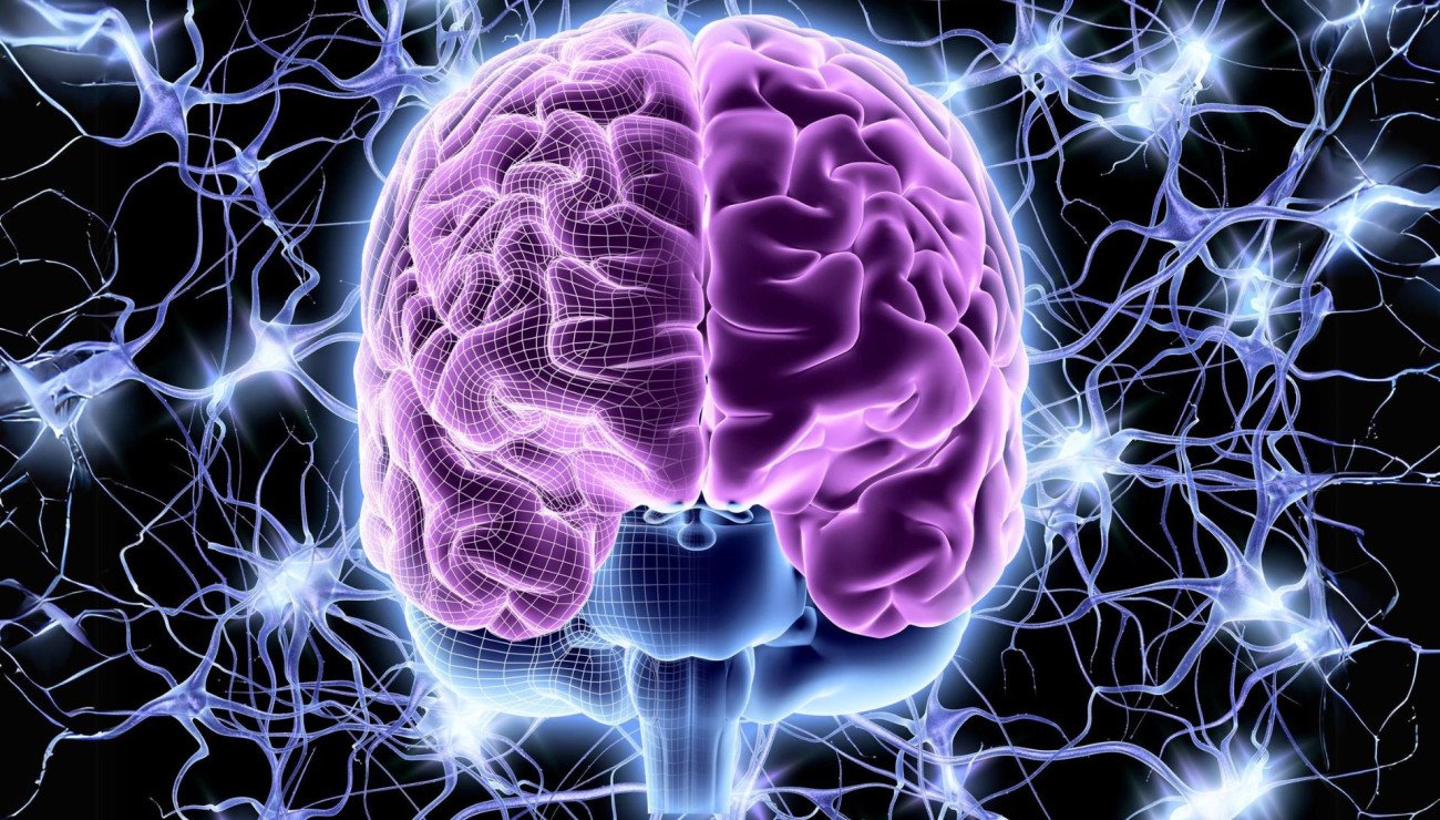 You Can Now Live Forever: But Must Die in the Process: YC Backed Nectome